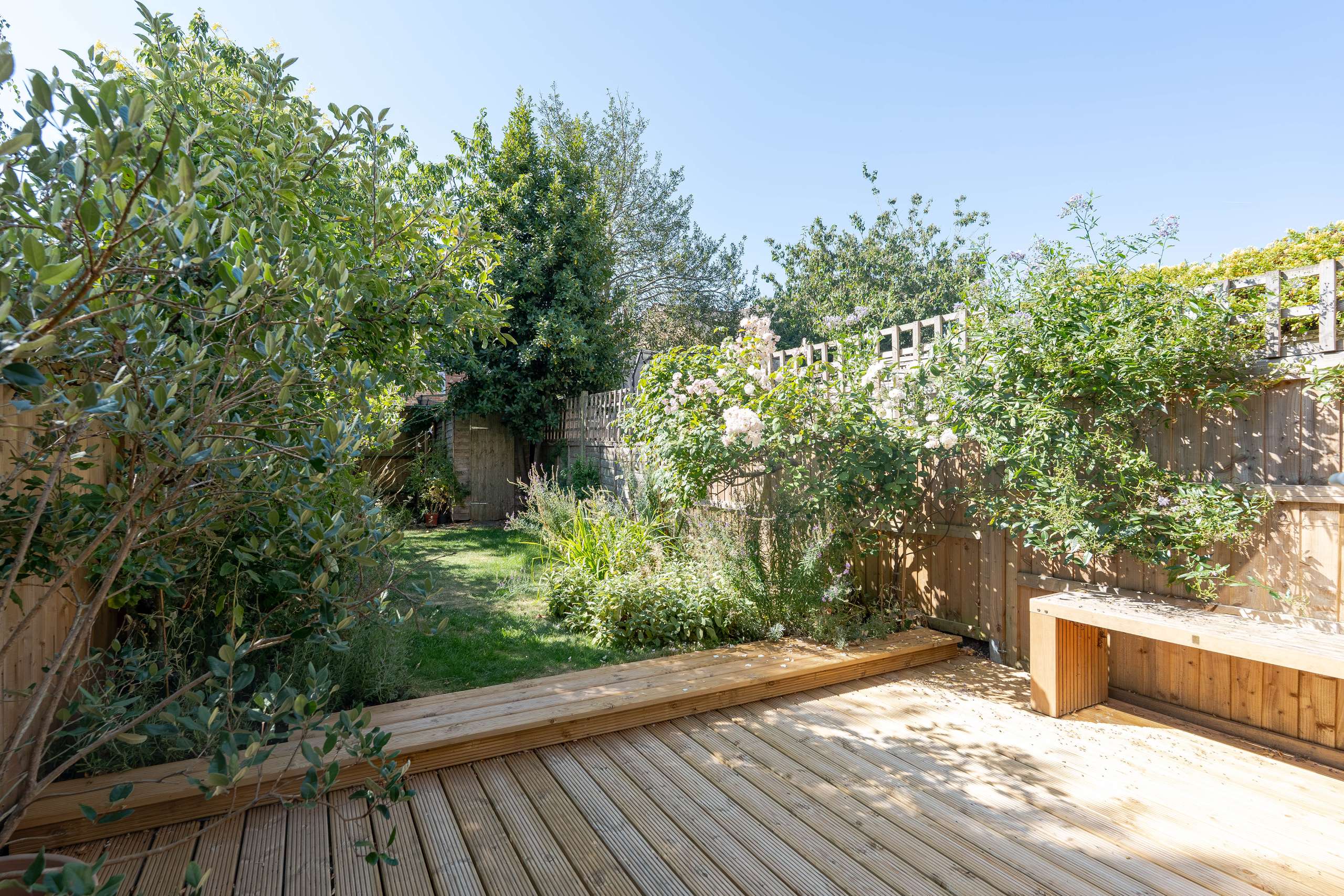 Garden