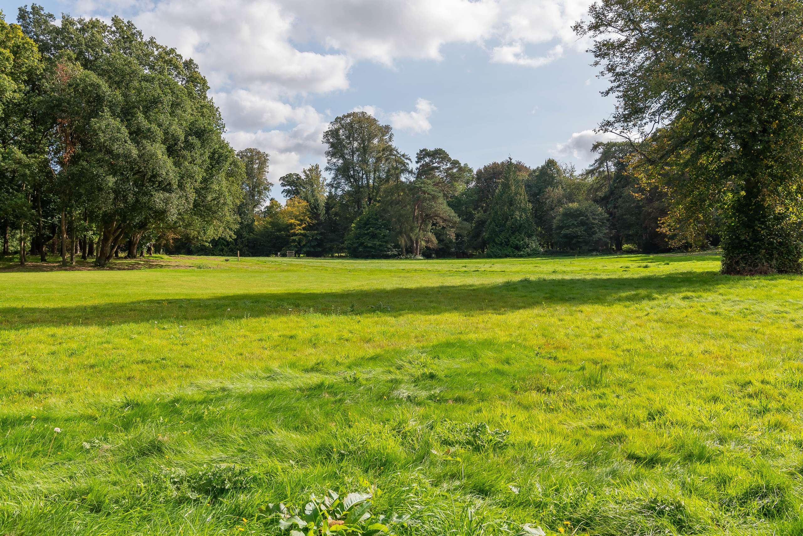 Grounds