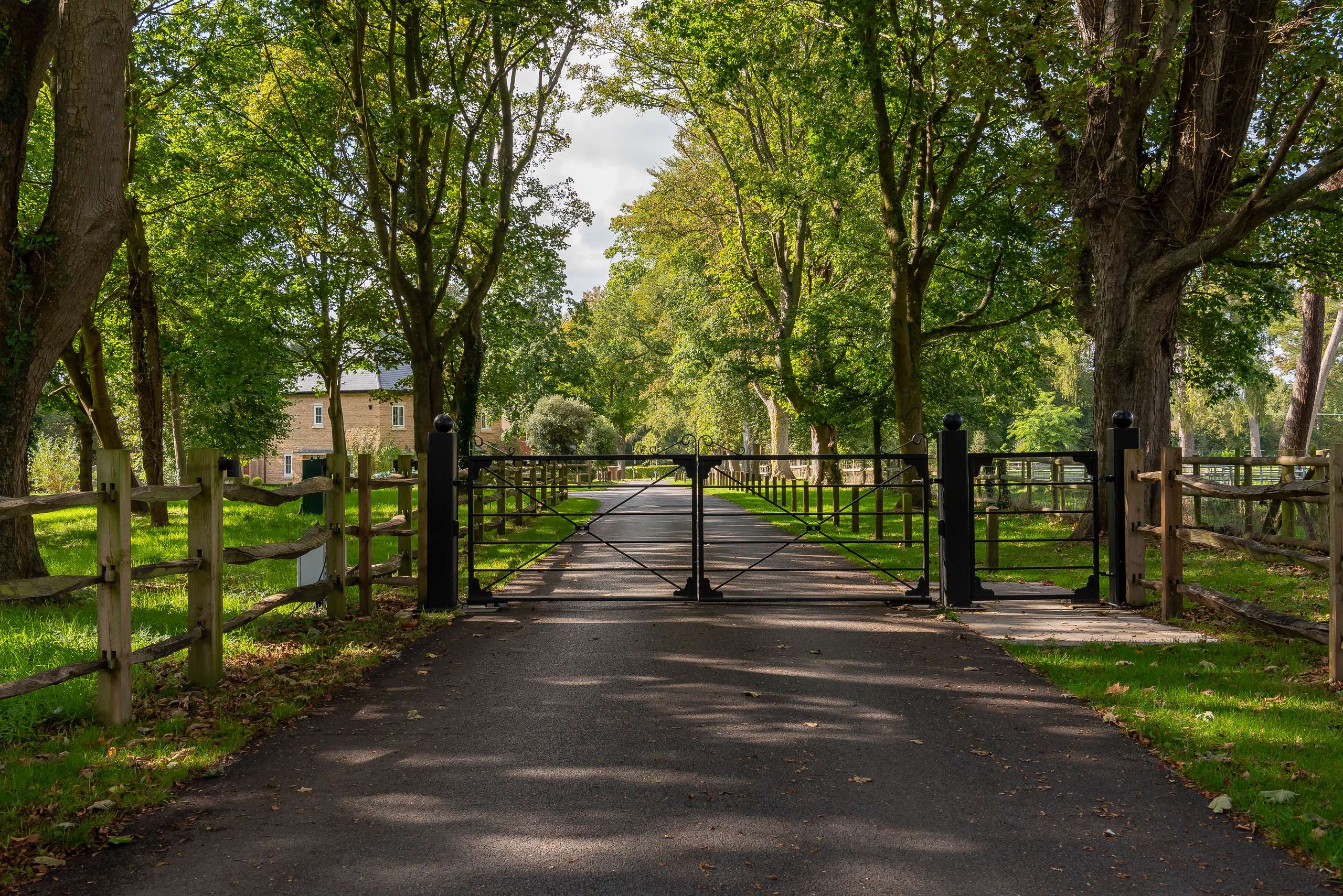 Driveway