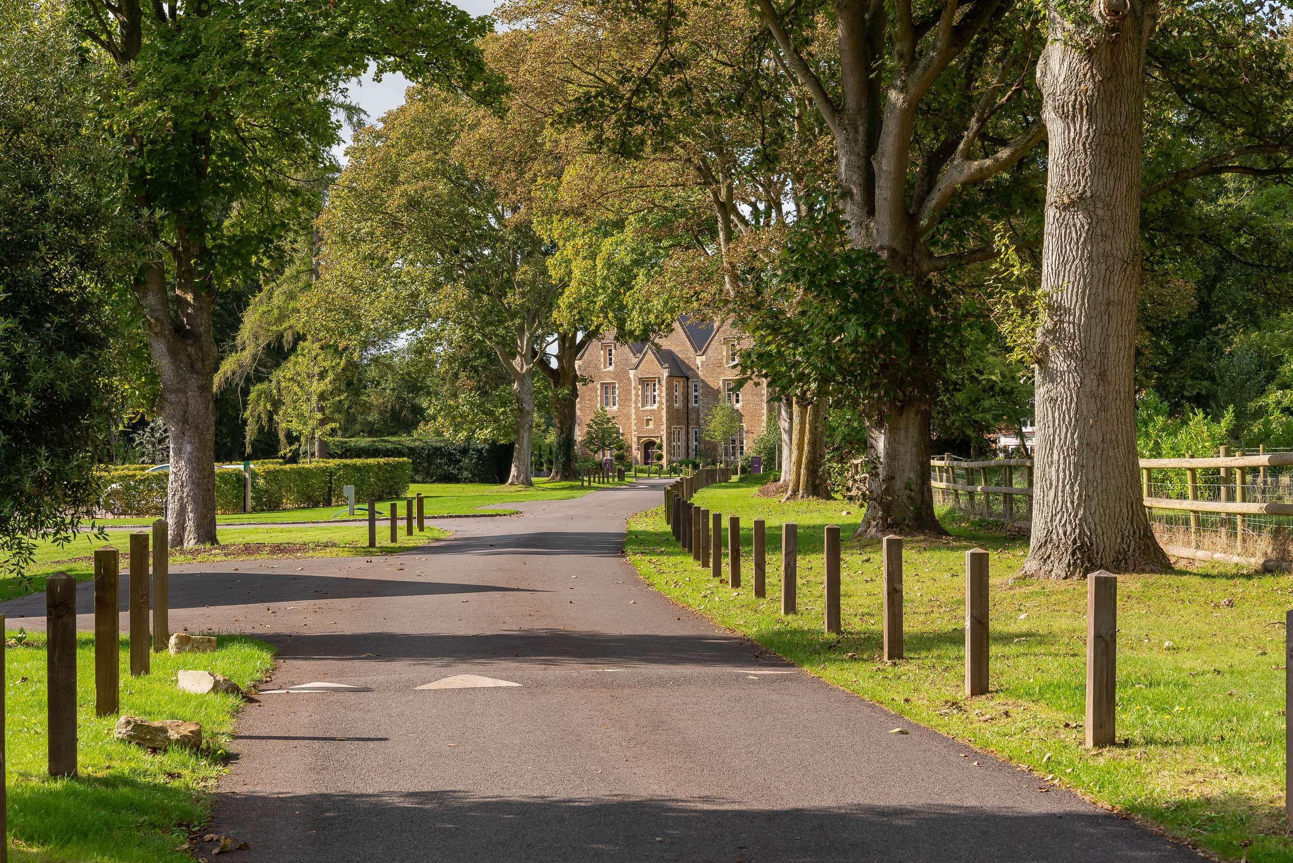 Driveway