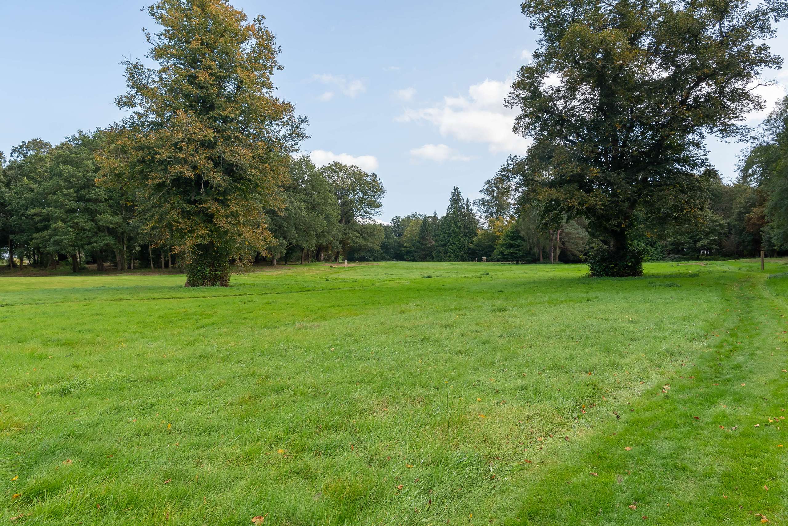 Grounds