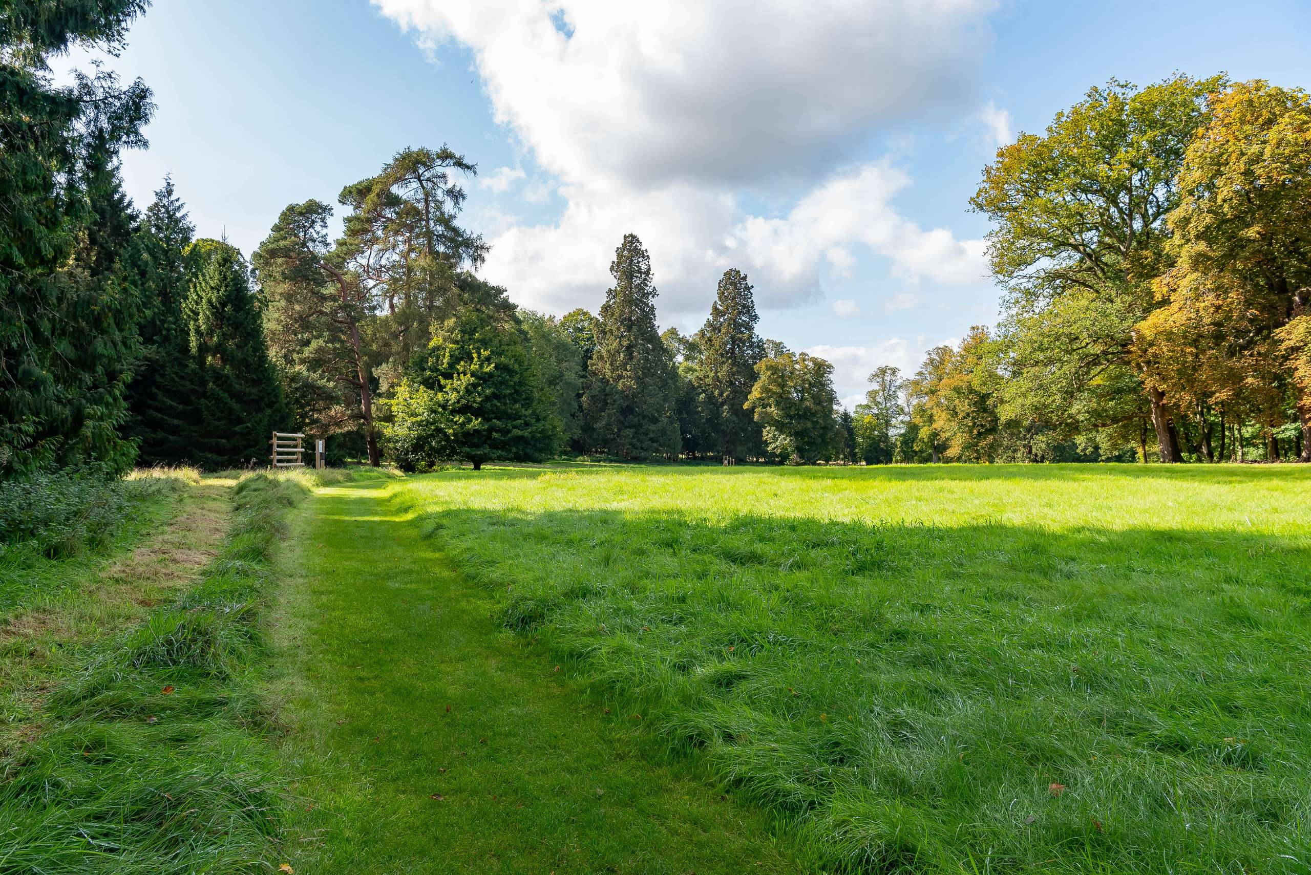 Grounds