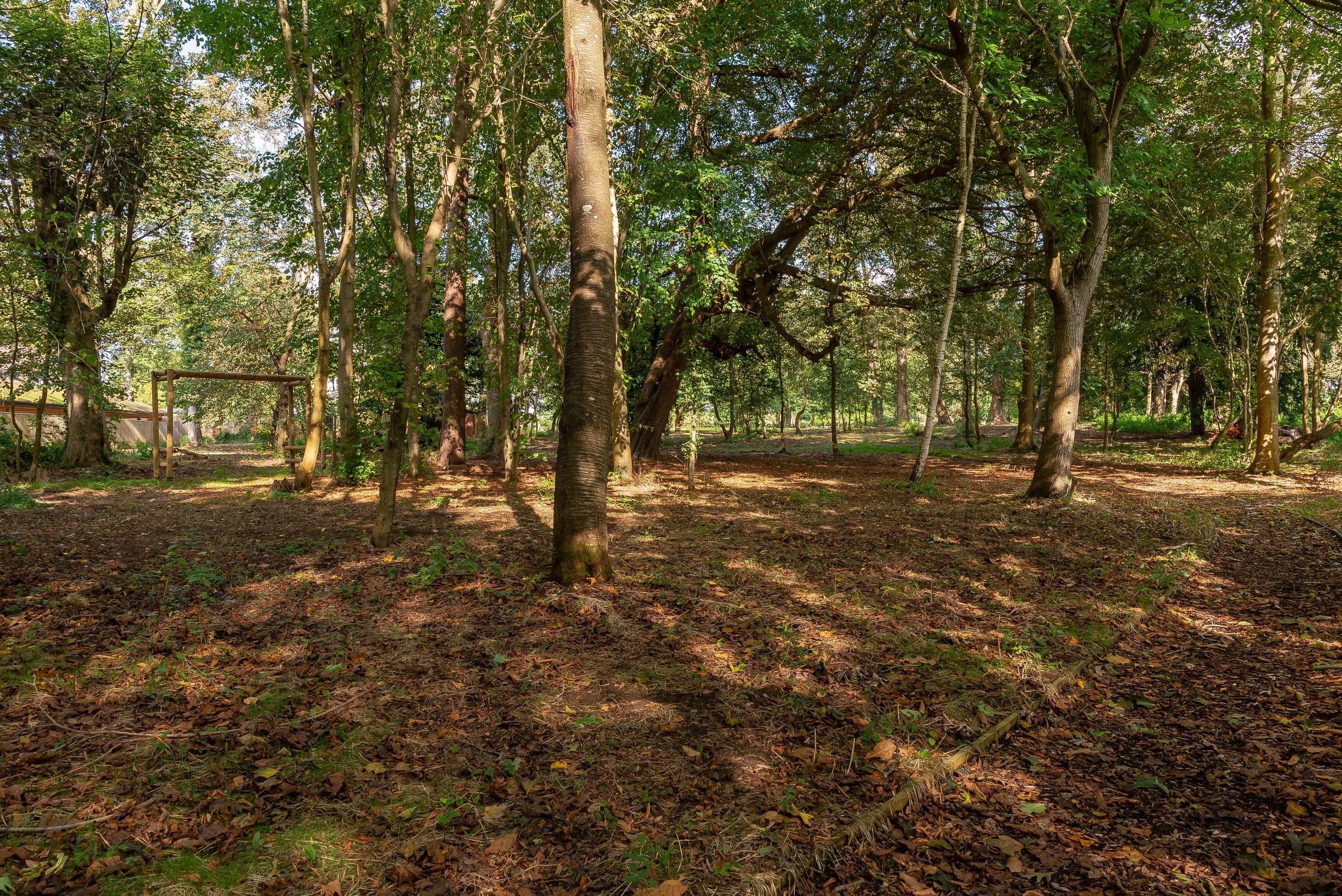 Fitness Trail
