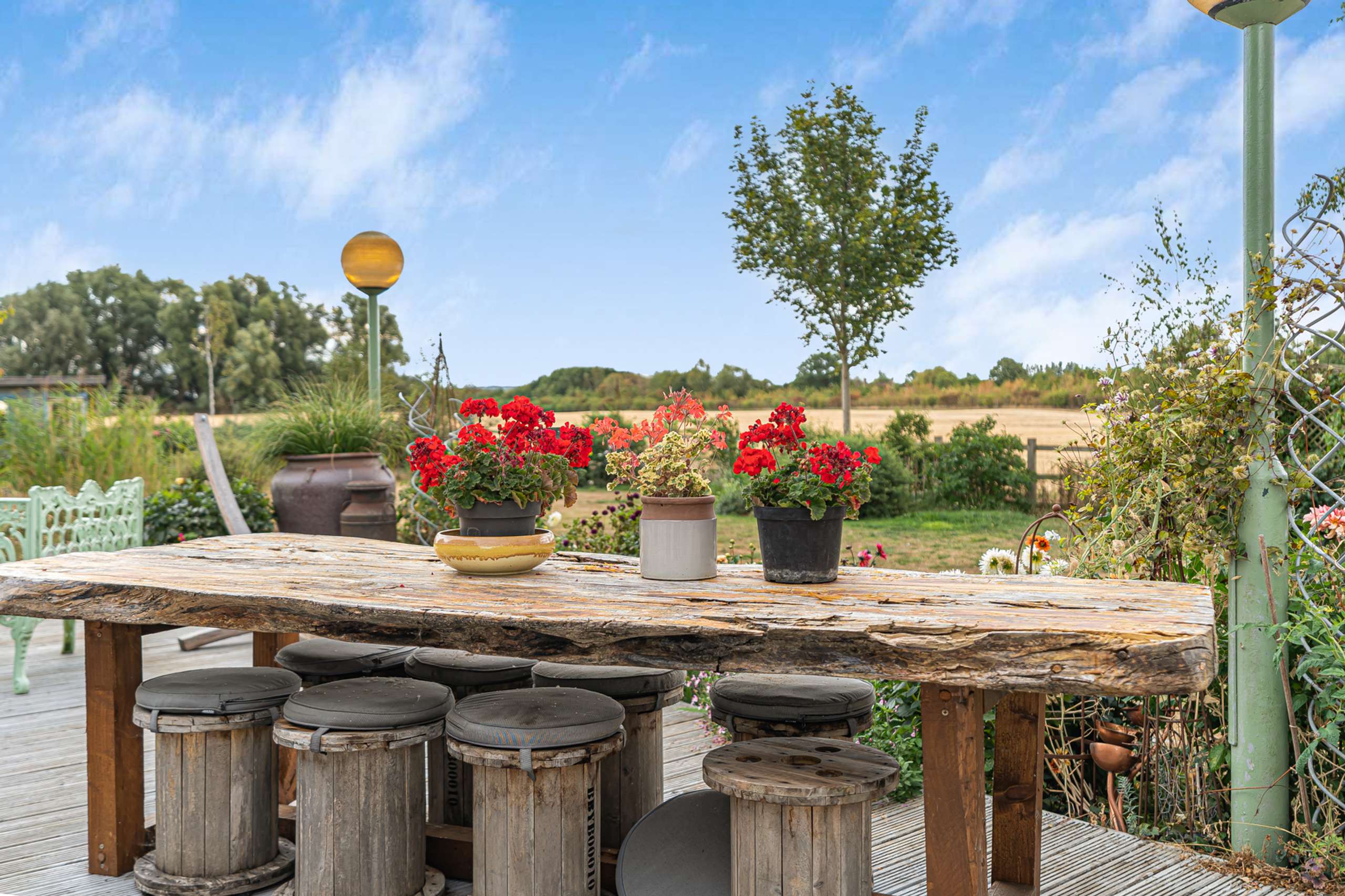 Garden