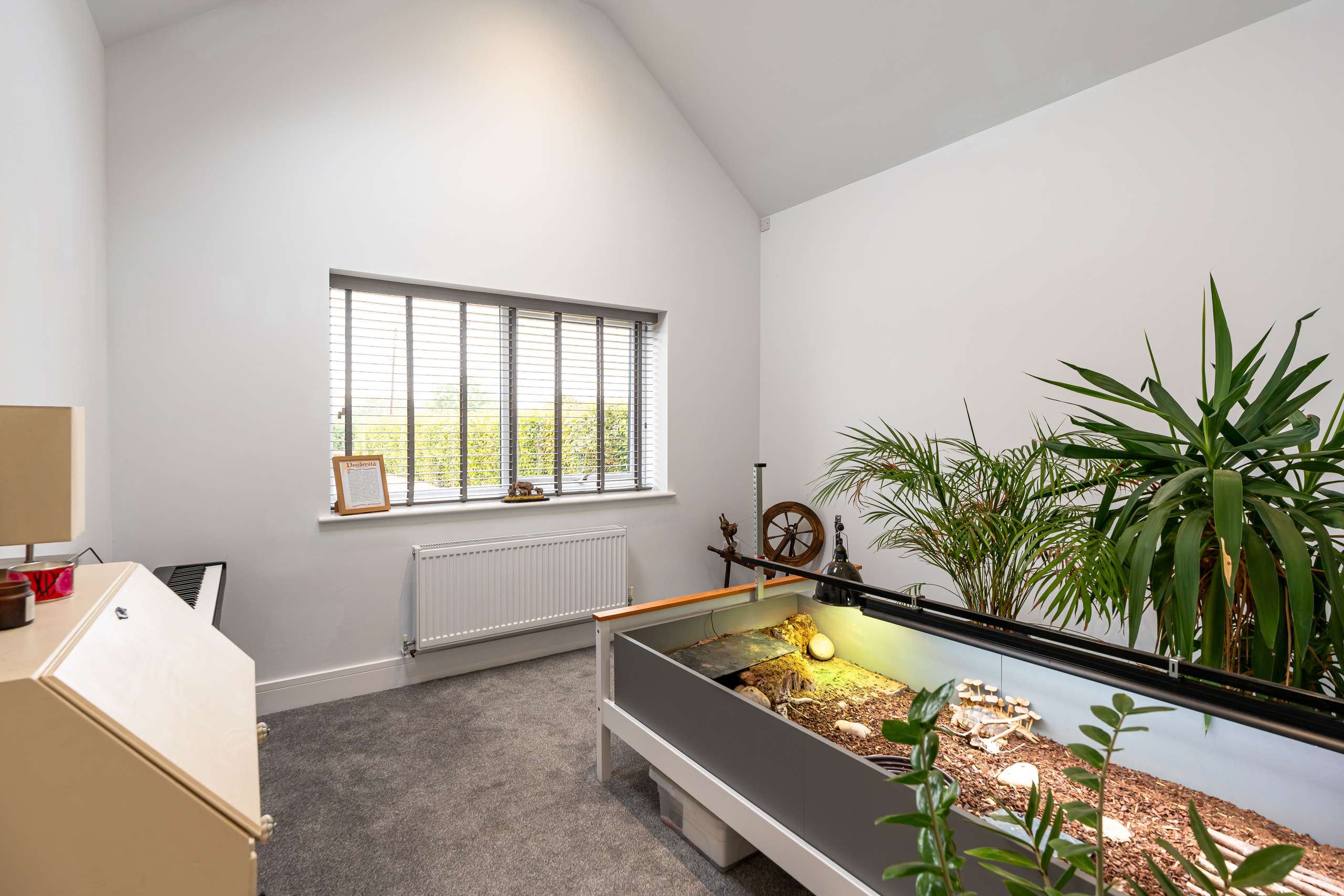 Bedroom/Reception