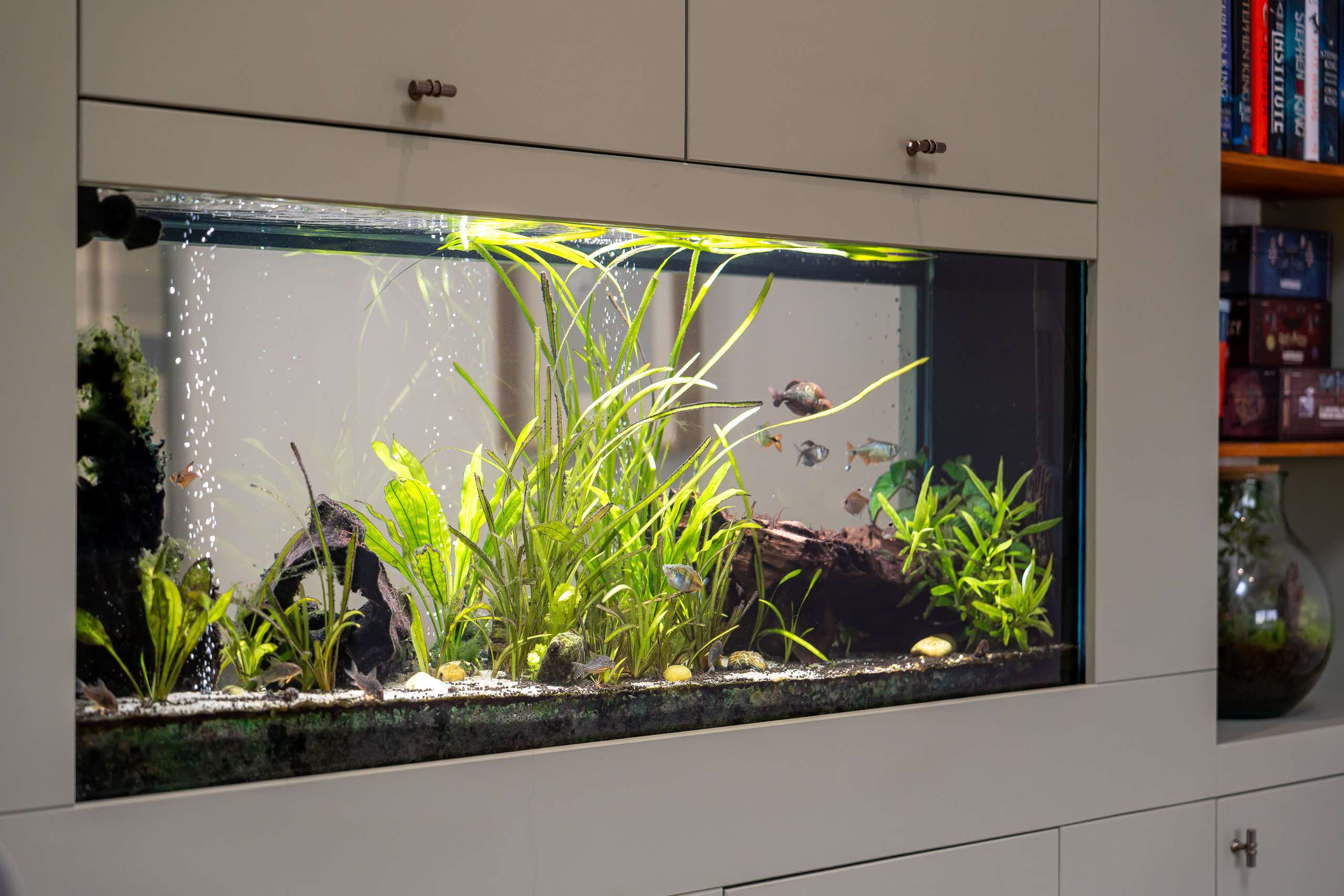 Fish Tank