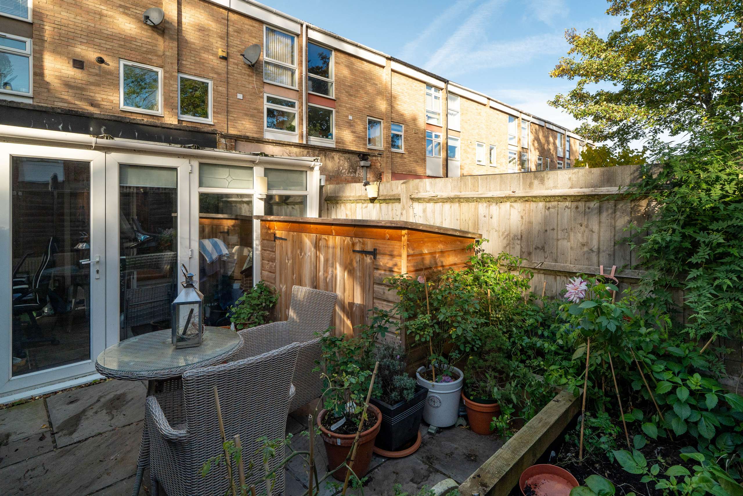 Garden