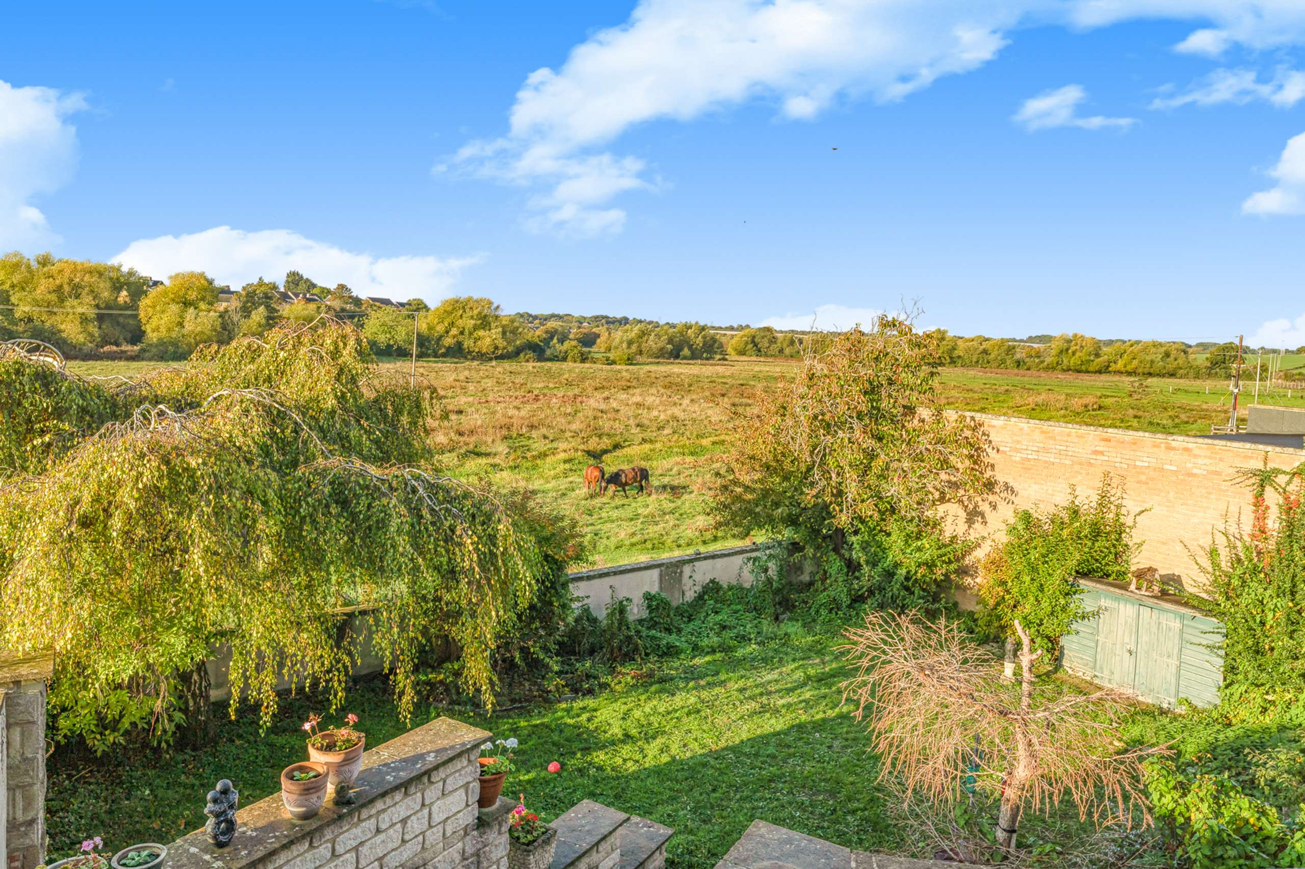 Garden & View