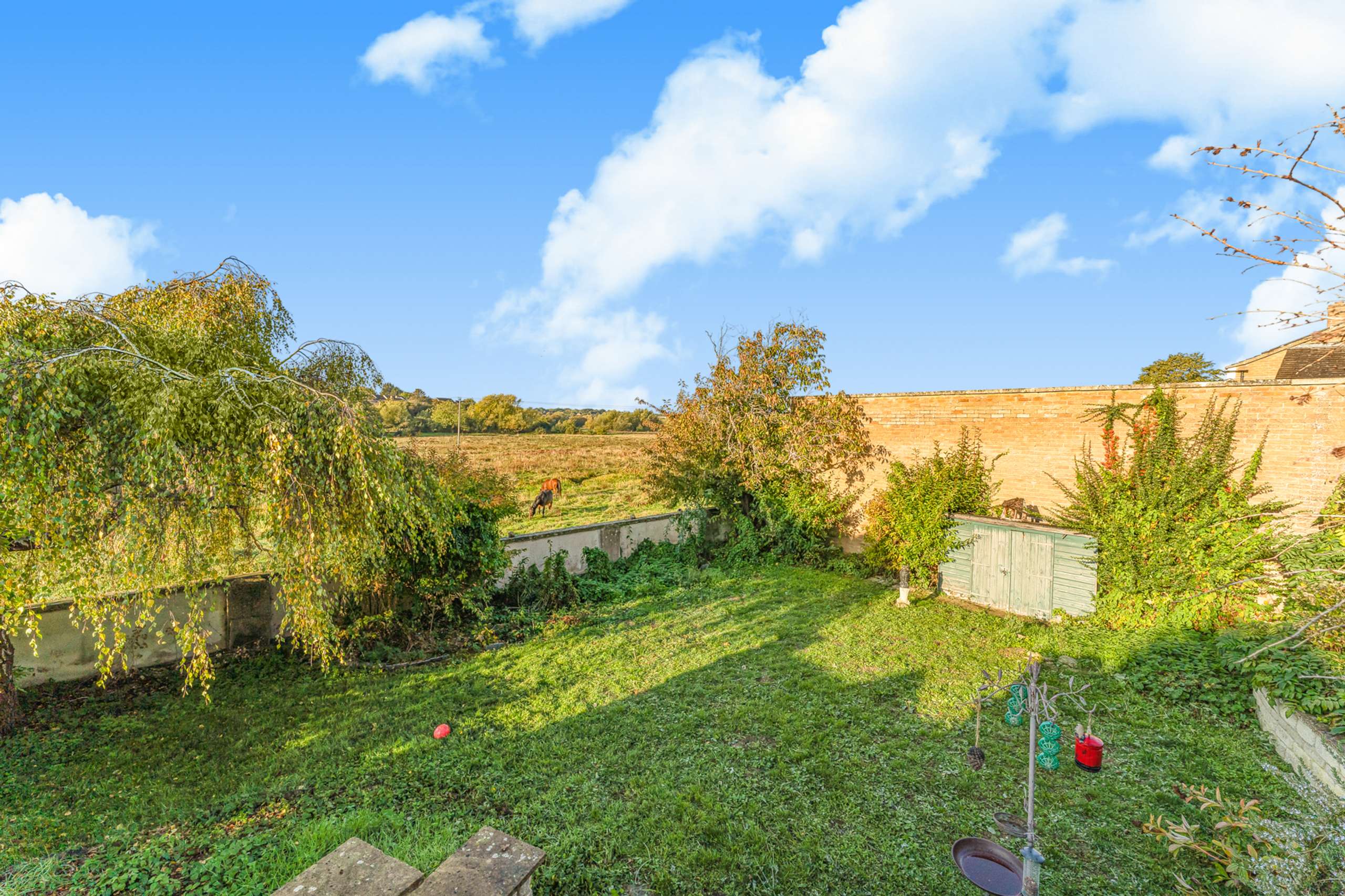 Garden & View