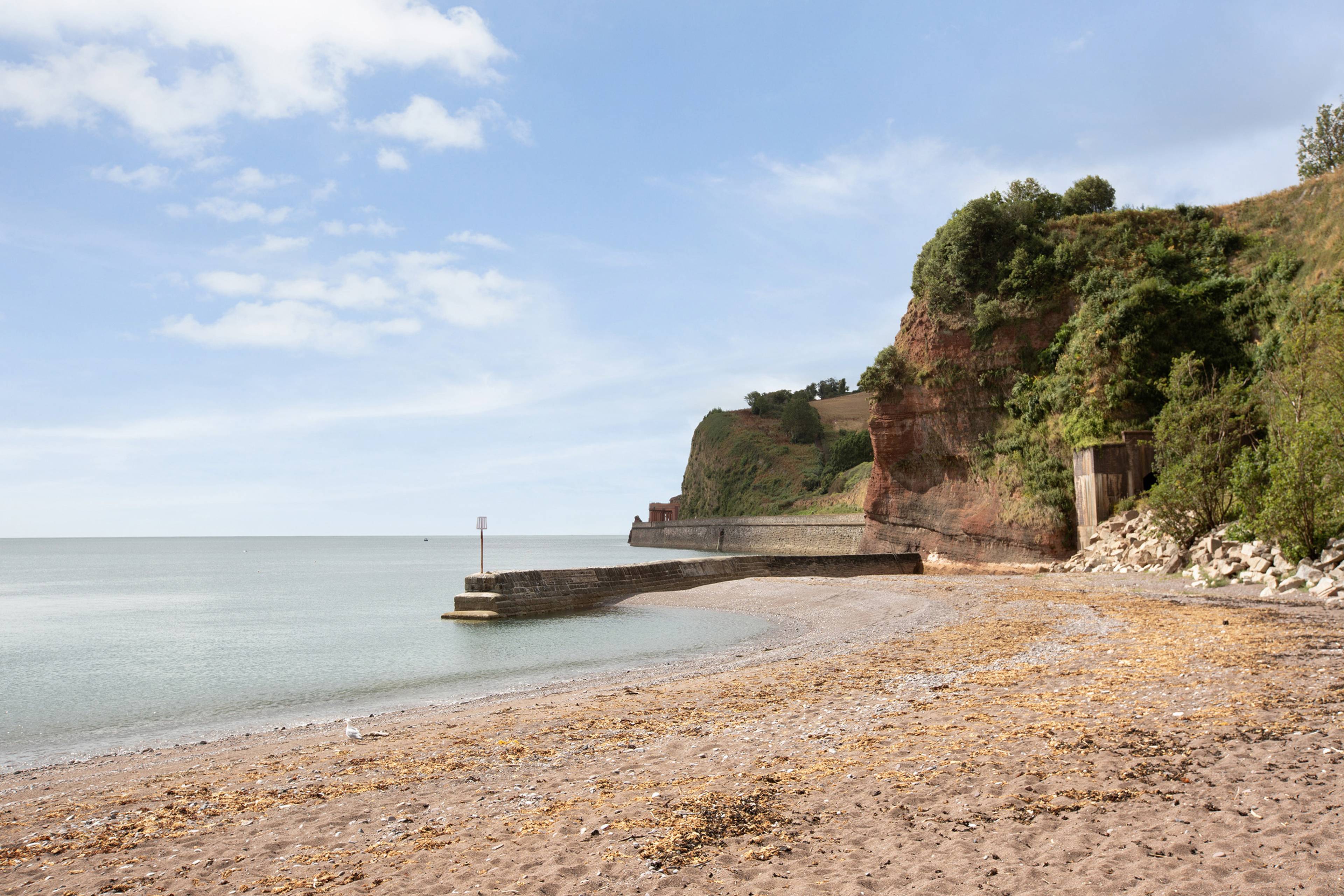 Shell Cove, Old Teignmouth Road, EX7 - 10