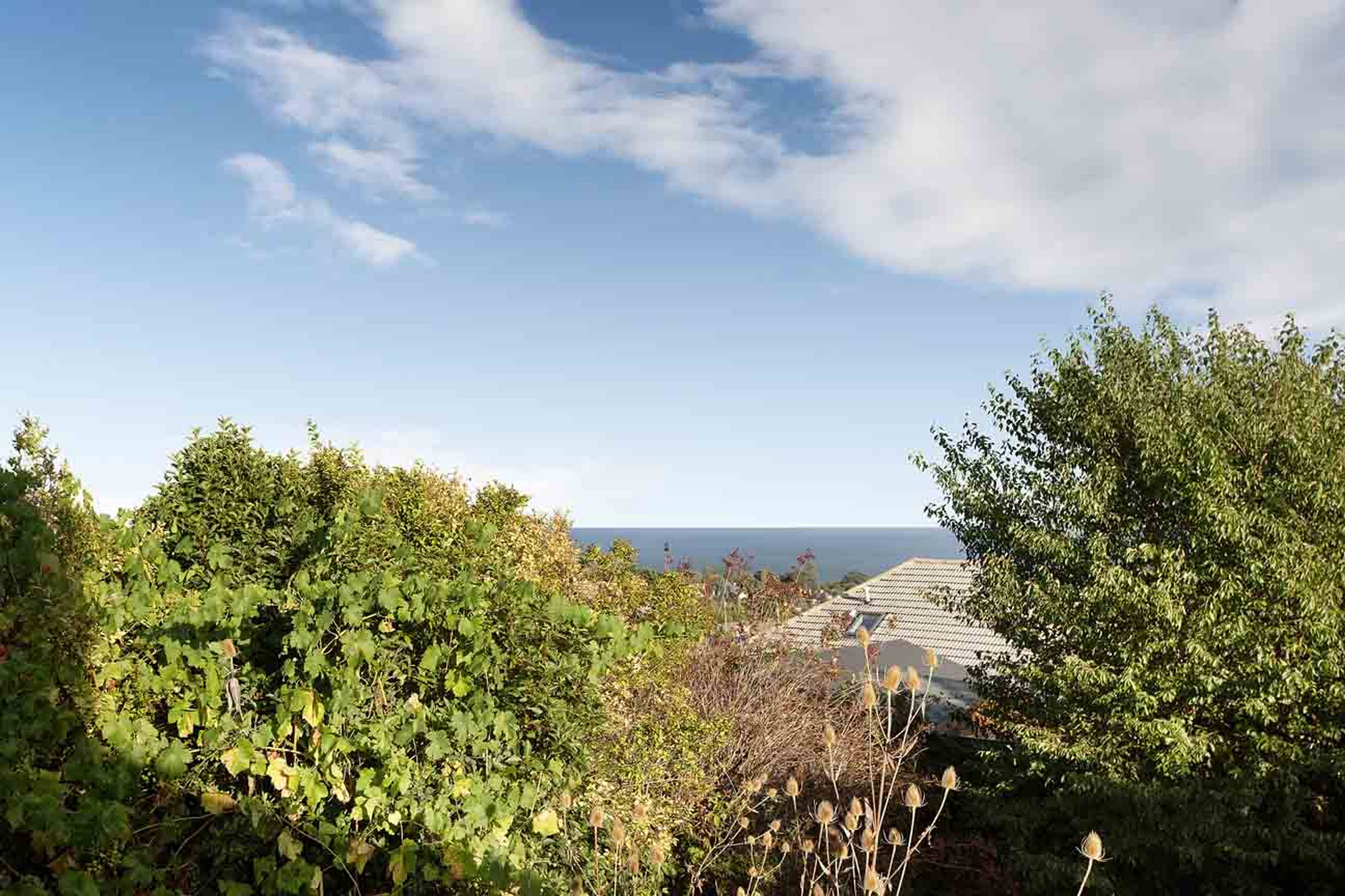 Hazeldown Road, Teignmouth, TQ14 - 10
