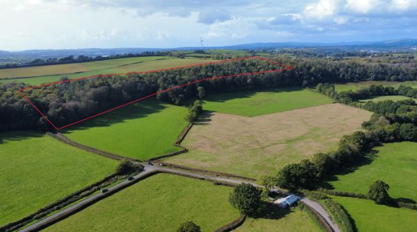 Lot 3: Approximately 12.82 acres of woodland, formerly part of Isycoed Farm, City, Cowbridge, CF71 7RW